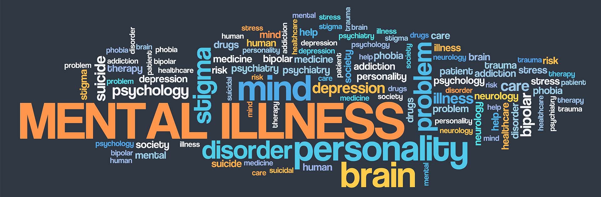 Understanding Serious Mental Illness