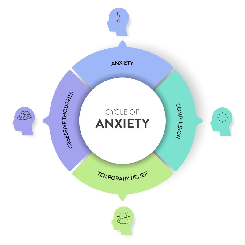 cycle of anxiety